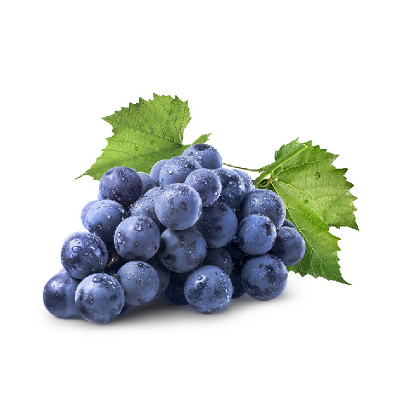 Red Wine Vinegar