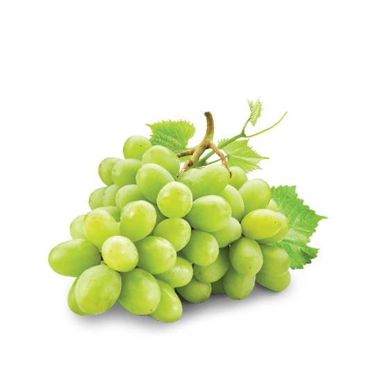 White Wine Vinegar